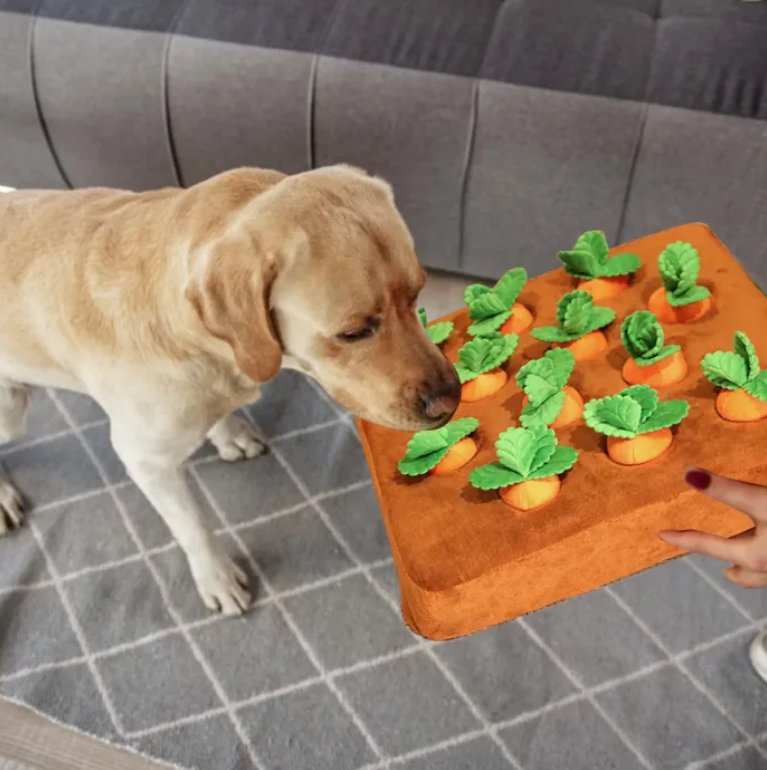 Carrot Toy in use