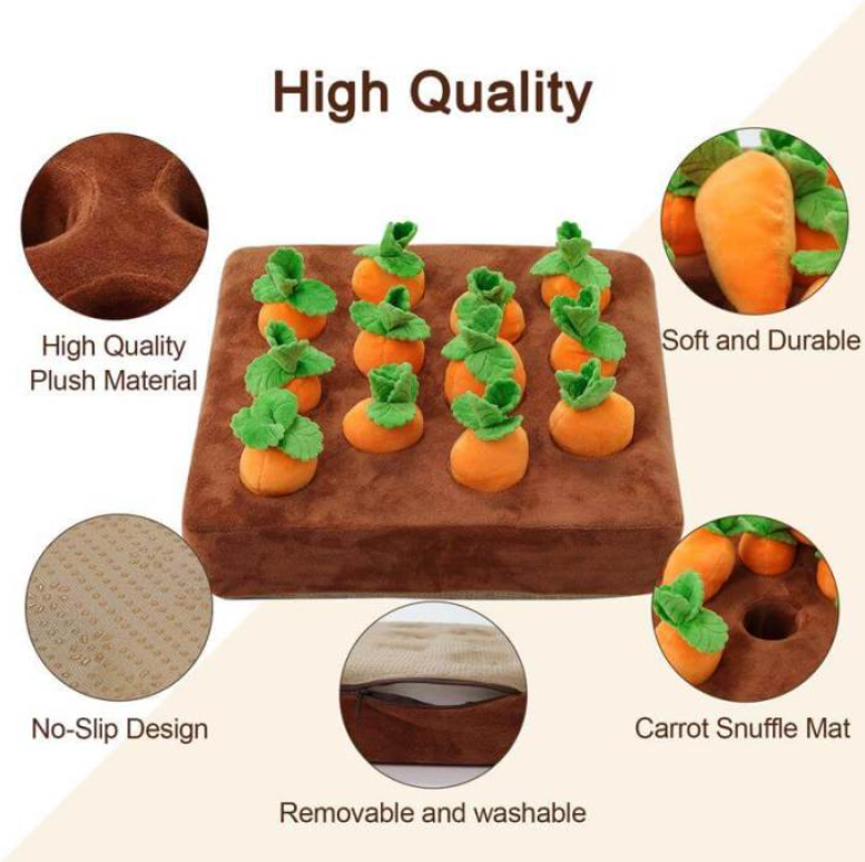 Carrot Toy Product Details and Features