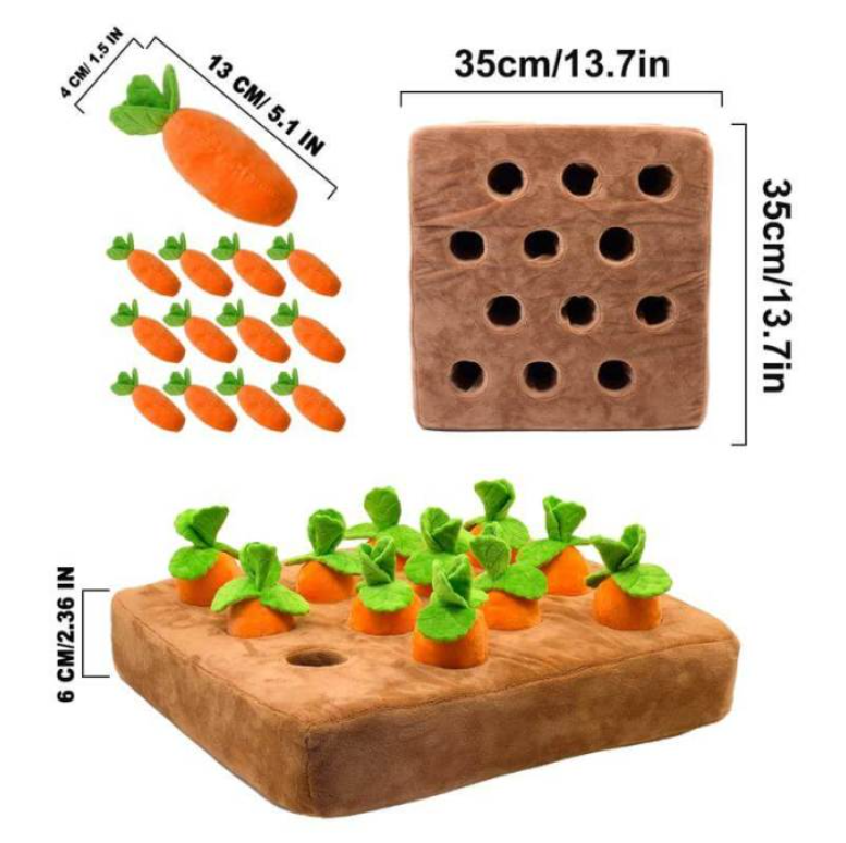Carrot Toy Dimensions