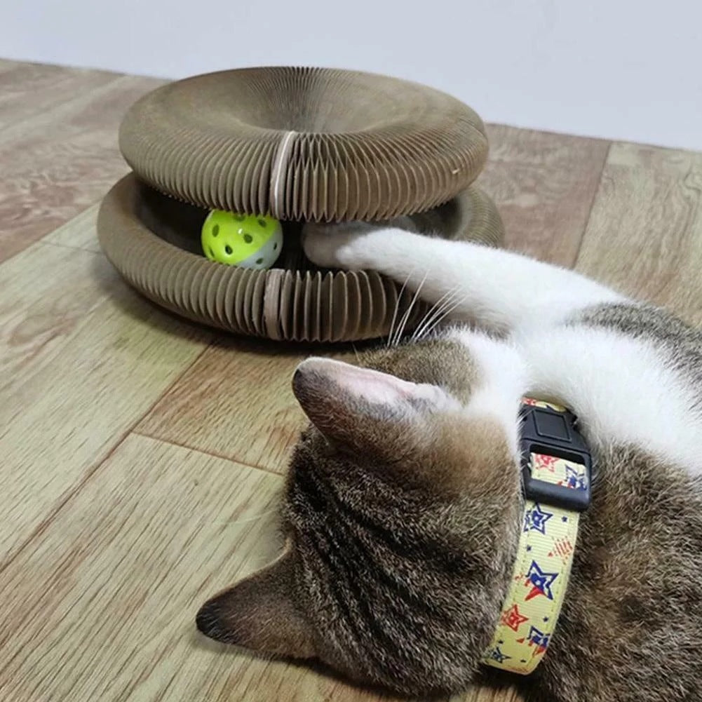 Cat Scratching Board in use