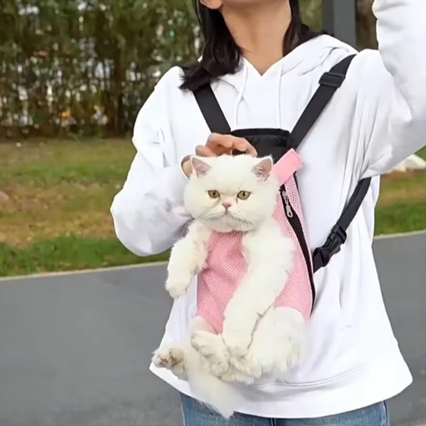 Breathable Pet Carrier in use