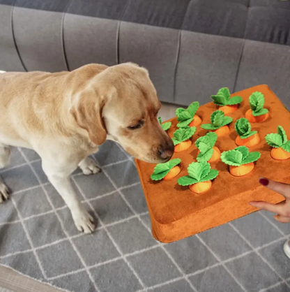 Carrot Toy in use