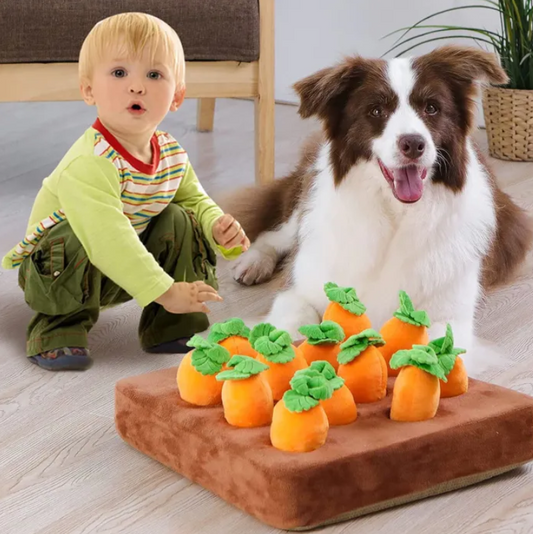 Carrot Toy in use